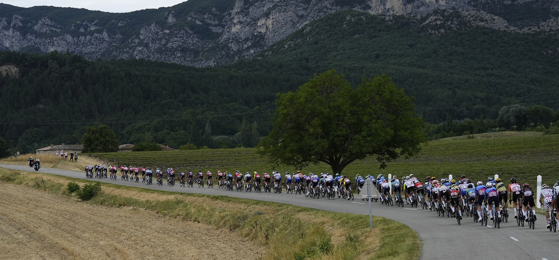 Ciclistas pedalean por el campo durante la decimoséptima etapa del Tour de Francia, una carrera ciclista de 160,4 kilómetros (99,7 millas) con inicio en Bollene y final en Valence, Francia, el miércoles 23 de julio de 2025. (Foto AP/Mosa'ab Elshamy) Ciclistas pedalean por el campo durante la decimoséptima etapa del Tour de Francia, una carrera ciclista de 160,4 kilómetros (99,7 millas) con inicio en Bollene y final en Valence, Francia, el miércoles 23 de julio de 2025. (Foto AP/Mosa'ab Elshamy)