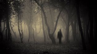 Por qué se puede sentir la presencia de otra persona cuando se está solo