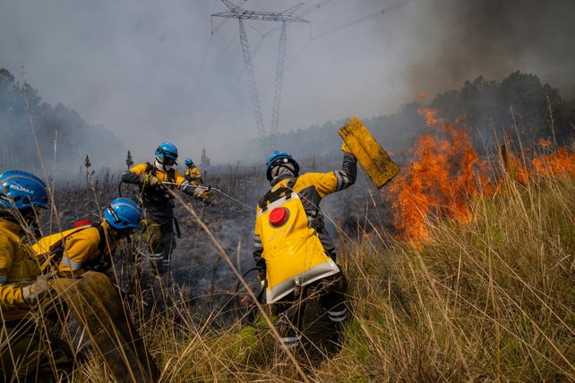 Fuego en las islas: apagan focos frente a Rosario pero el viento trae humo de otros sectores