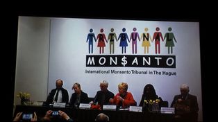 Tribunal contra la empresa Monsanto impulsa figura del ecocidio
