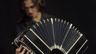 Noticias sobre bandoneón