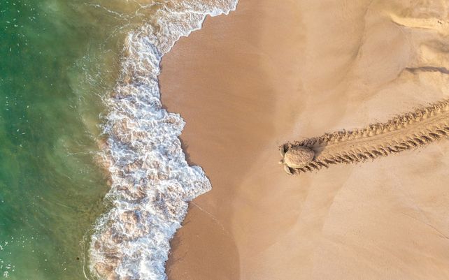 Drone Photo Awards 2021, impactantes imágenes desde las alturas