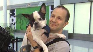Un piloto cambió el rumbo de un vuelo porque corría riesgo la vida de un perro