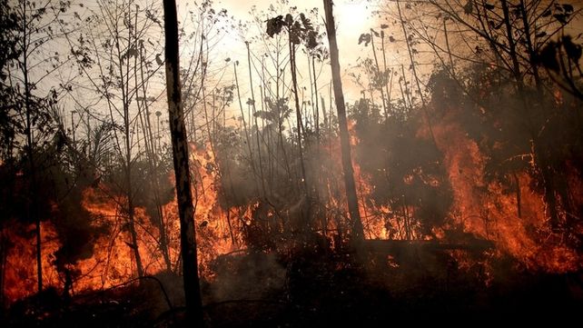 Bomberos Voluntarios de Santa Fe viajan a Brasil para combatir los incendios
