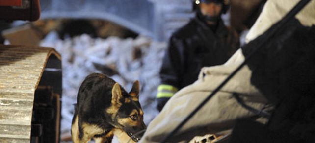 Se agotan las esperanzas de hallar m&aacute;s sobrevivientes de sismo en Italia