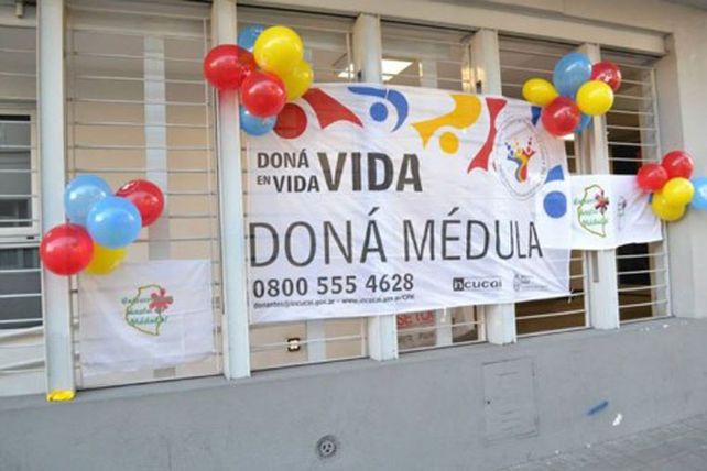 Se conmemora el Día del Donante de Médula Ósea. Foto: AIM