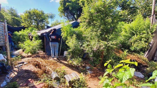 Lo detuvieron por violencia de género y le secuestran marihuana