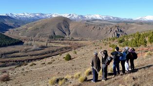 Casi 900 mil argentinos viajan por el país en el fin de semana largo