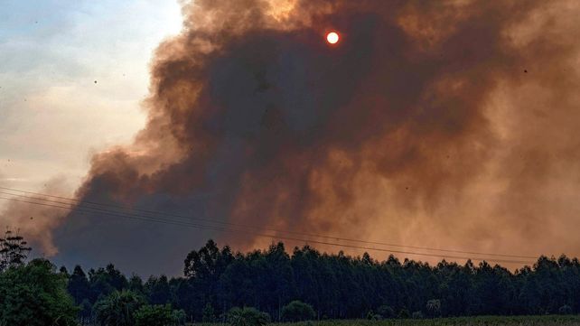 Los incendios en Corrientes afectaron al 9% del territorio