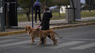 El tiempo en Rosario: llega un jueves gris con leve recuperación térmica