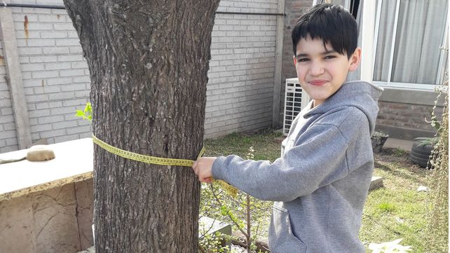 Estudiantes de Pujato, premiados por un proyecto en el que fueron guardianes de árboles
