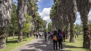 El Bosque de los Constituyentes, el mayor pulmón verde que tiene Rosario.