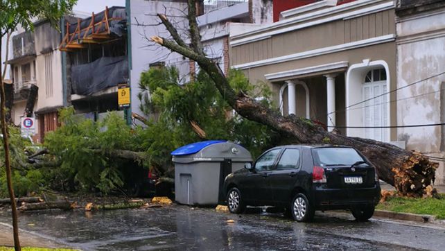 Temporal en Paraná provoca anegamientos y caída de árboles
