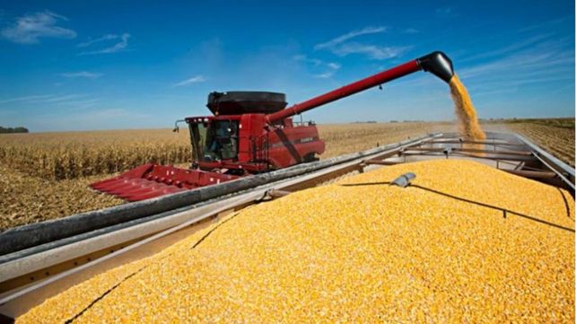 El remate del primer lote de soja marca el inicio simbólico del período de comercialización de la cosecha de la oleaginosa.