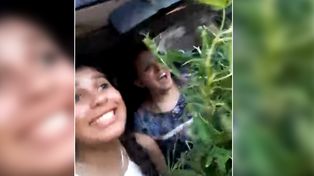 Difunden el video de dos policías de la provincia con una planta de marihuana robada