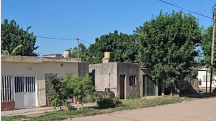 En la intersección de las calles Almonacid y Larguía, en el norte de la ciudad de Santa Fe, apareció el enjambre de abejas que se alojó dentro de una vivienda y provocó temor en el vecindario.