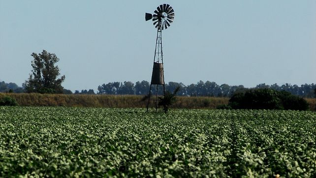 El servicio de estimaciones agrícolas que depende de la Bolsa de Comercio de Rosario señaló que por cada día de atraso en siembras de soja de primera a partir de diciembre se pierden 30 kilos por hectárea.