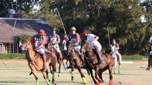 Se viene atractivo torneo de polo