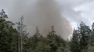 La Patagonia experimenta incendios desde finales del 2024 y esta vez, un rosarino admitió haber iniciado un foco que ya fue controlado.