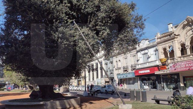 El Servicio Meteorológico Nacional (SMN) pronosticó aumento de la temperatura para el miércoles y chaparrones el viernes. Este domingo estará despejado