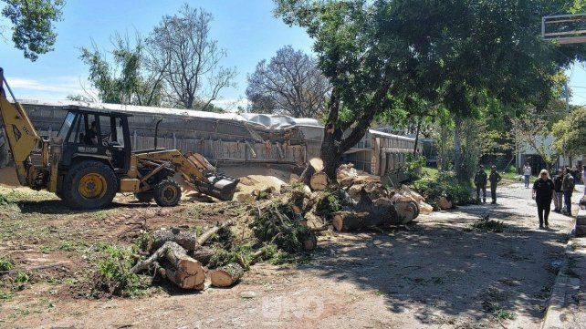 Descarrilamiento de un tren en Santa Fe: liberaron el tránsito y continúan los trabajos sobre las vías