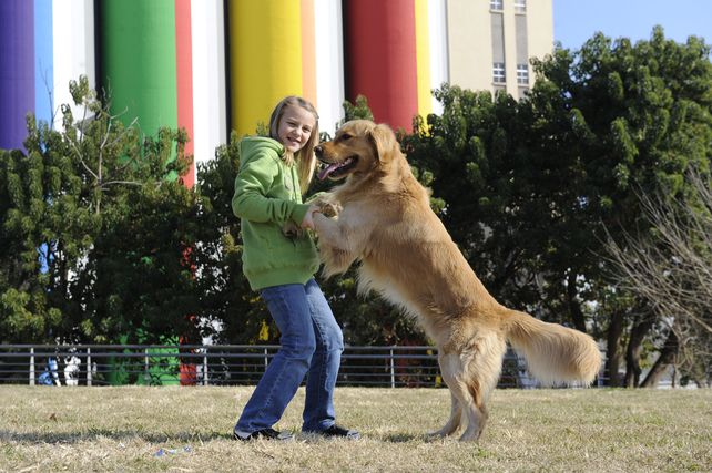 Día Mundial del Perro: una fecha para mimar al amigo más fiel