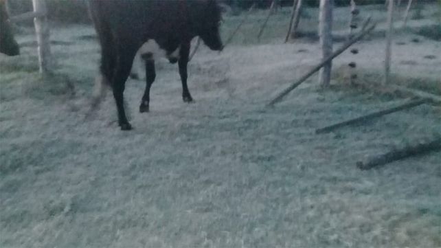 A pesar del fr&iacute;o