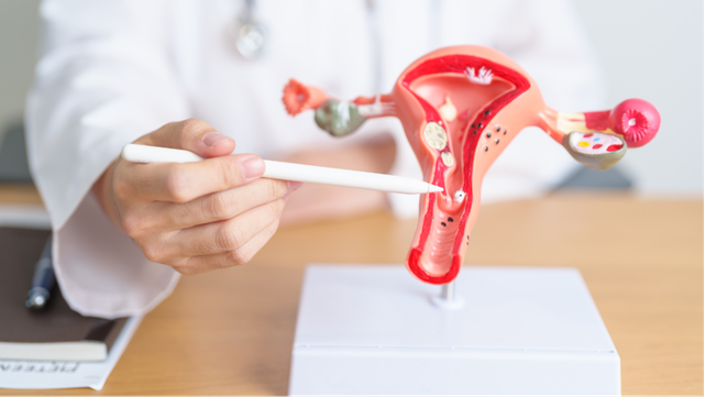 La OMS estima que el HPV es responsable del 4