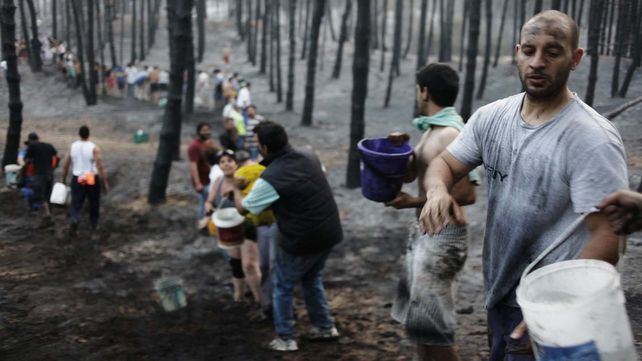 Aseguran que está controlado el voraz incendio en los bosques de Valeria del Mar