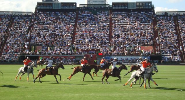El Campo Argentino de Polo está ubicado en el tradicional barrio porteño de Palermo. Allí se disputan los principales certámenes organizados por la Asociación Argentina de Polo.