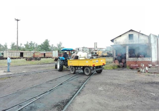 Desde la comuna precisaron que en los primeros días de abril se realizará el primer abordaje para fumigar.