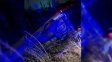 Accidente en Paraná: una camioneta volcó y sus ocupantes salieron ilesos