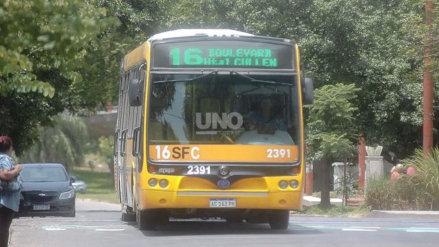 ¿Cómo se piensa el nuevo servicio de transporte en la ciudad?