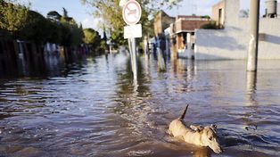 El buen clima acompaña la tarea de reconstrucción tras el desastre