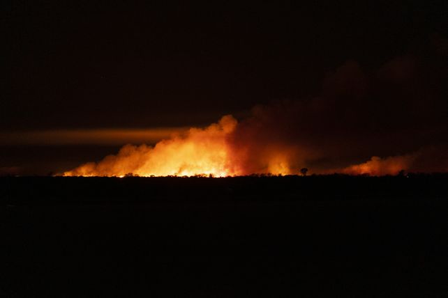 El fuego consumió este año más de 400 mil hectáreas del Delta del Paraná.&nbsp;