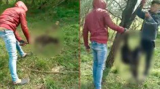 Inician querella contra tres personas que se filmaron matando a un perro en Villa San Marcial.