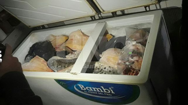 Secuestraron y desnaturalizaron 700 kilos de pescado no apto para consumo humano