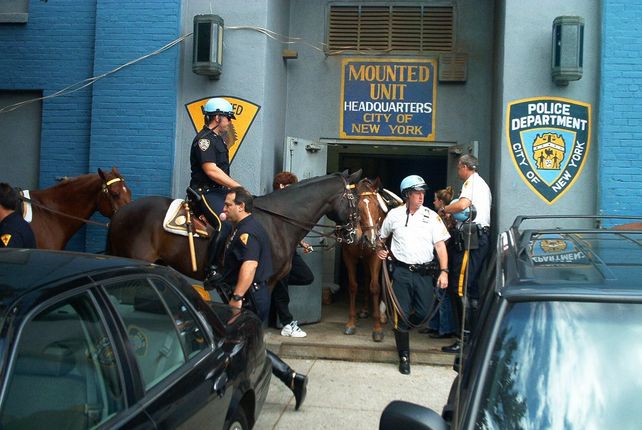 Un caballo de la policía causó un gran susto al salir a todo galope por las calles