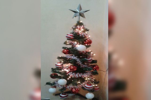 Con los mejores colores. Jess Gimenez conpartió su primer árbol de navidad desde que vive sola con su novio.