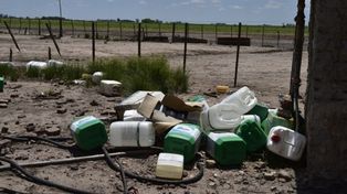 Un fiscal federal pide suspender las fumigaciones con glifosato