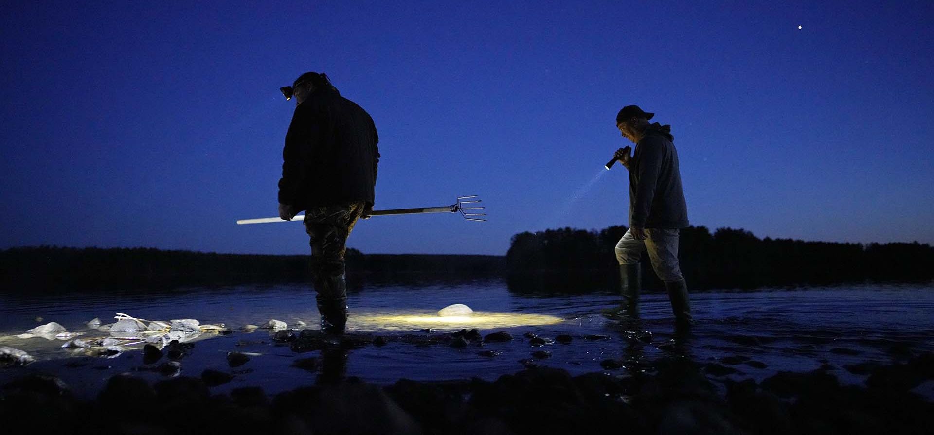 Pescadores caminan en aguas poco profundas mientras buscan peces en Chippewa Flowage en la reserva Lac Courte Oreilles, cerca de Hayward, Wisconsin (Foto AP/John Locher) Pescadores caminan en aguas poco profundas mientras buscan peces en Chippewa Flowage en la reserva Lac Courte Oreilles, cerca de Hayward, Wisconsin (Foto AP/John Locher)
