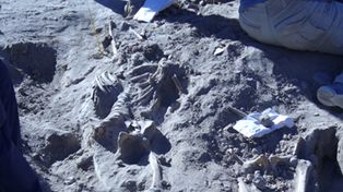 Hallazgo de restos humanos impulsa la investigaci&oacute;n de la campa&ntilde;a de Roca