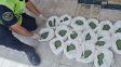 Pasó a Corrientes la causa por las 38 mil pastilla de Rohypnol secuestradas en Entre Ríos