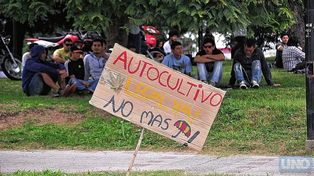 Derechos. La legislación para el cultivo de cannabis con fines medicinales avanza en Entre Ríos.