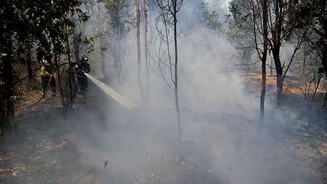 Las imágenes más estremecedoras de los incendios forestales en Chile
