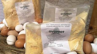 Dictan la conciliación obligatoria en el conflicto de la planta de Ovoprot S.A. en Sauce Viejo
