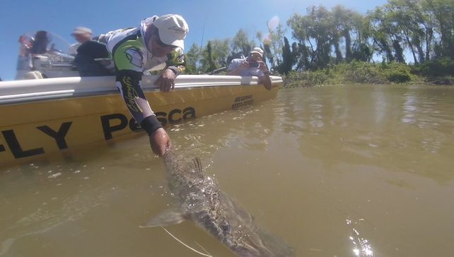 Sólo se permite la pesca deportiva con devolución inmediata