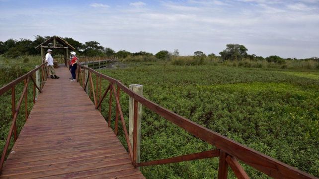 Duro revés judicial para el empresario que le disputa tierras en la isla al municipio
