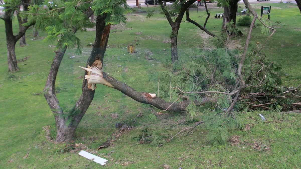 Por la tormenta hubo una voladura de techo y árboles caídos en Paraná