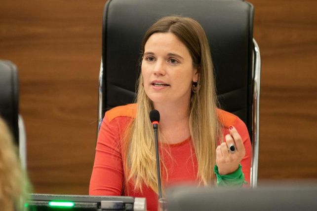 La concejala de Ciudad Futura, Caren Tepp, fue la impulsora del proyecto. 